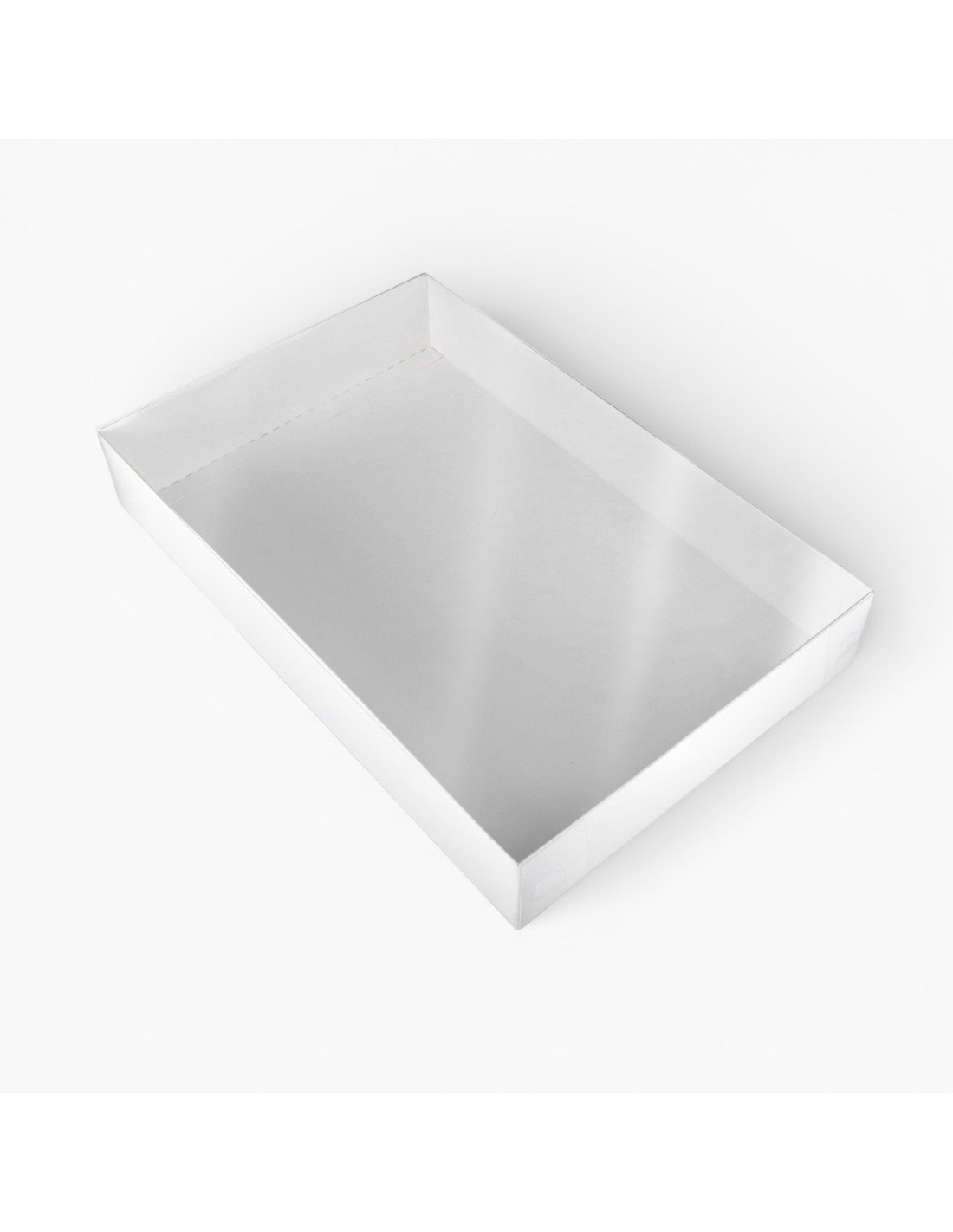 Paquet de 10 : Boîte semi-transparente 40 x 26 x 6.5 cm