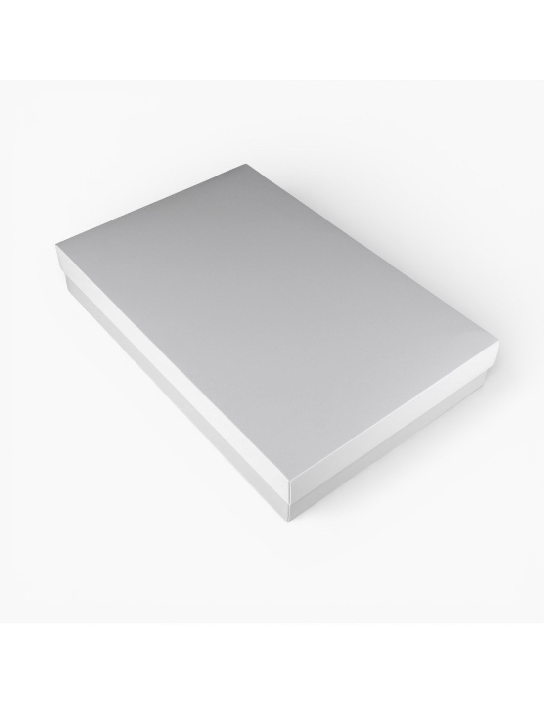 Paquet de 10 : Boîte opaque 40 x 26 x 6,5 cm