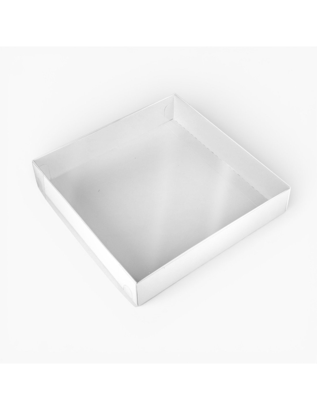 Paquet de 10 : Boîte semi-transparente 25 x 25 x 5 cm